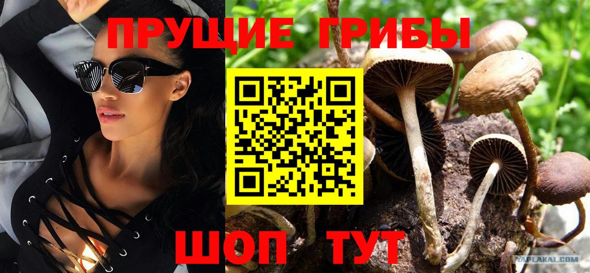 Псилоцибиновые грибы мухоморы Кудрово