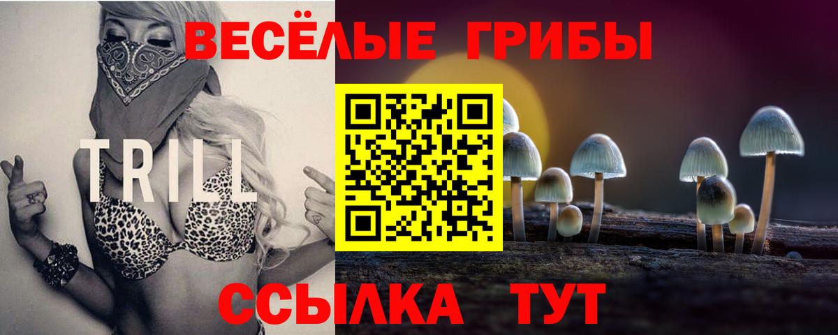Кудрово  Галлюциногенные грибы MAGIC MUSHROOMS  Вход с VPN  Псилоцибиновые грибы ЛСД 
